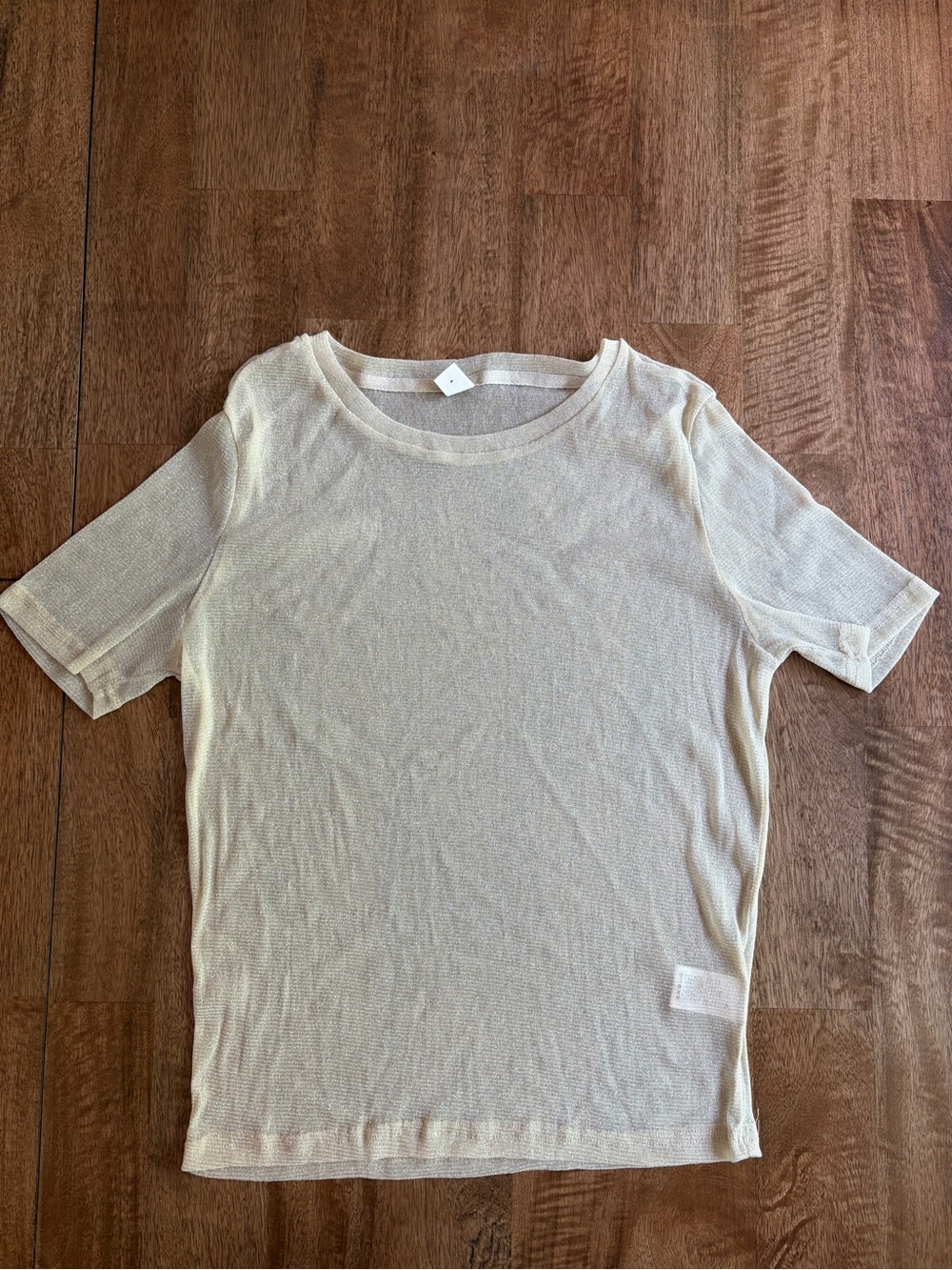 Lightweight Sheer Blouse with Gold shimmer